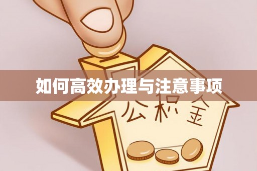 平乡如何高效办理与注意事项