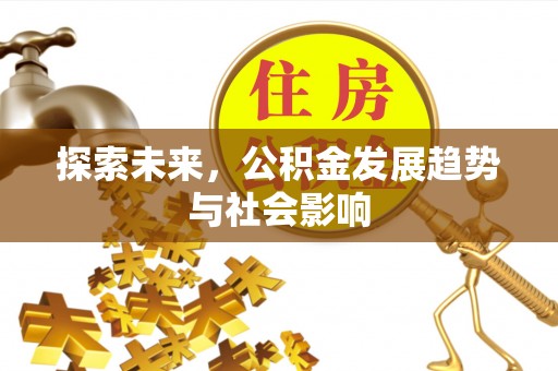 平乡探索未来，公积金发展趋势与社会影响