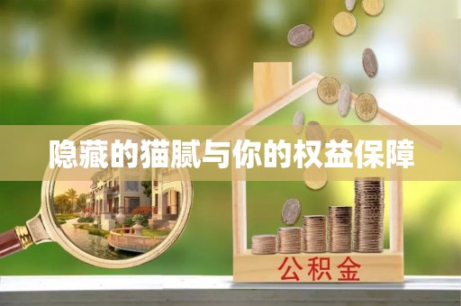 平乡隐藏的猫腻与你的权益保障