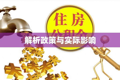平乡解析政策与实际影响