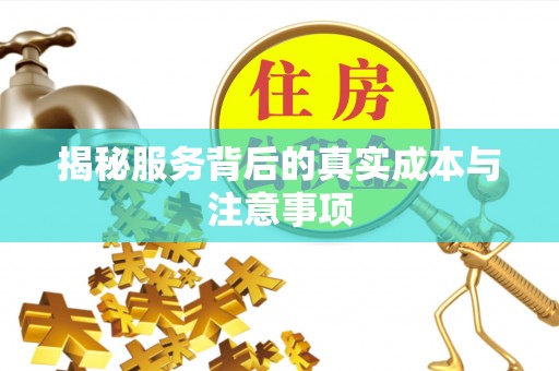 平乡揭秘服务背后的真实成本与注意事项