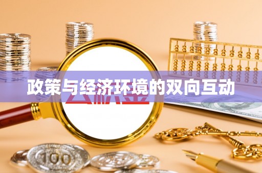 平乡政策与经济环境的双向互动